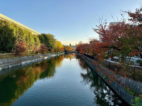 琵琶湖疏水の紅葉 紅葉,秋,風景の写真素材