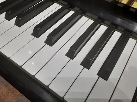 習い事で人気のピアノ 習い事で人気のピアノ ピアノ,楽器,習い事の写真素材