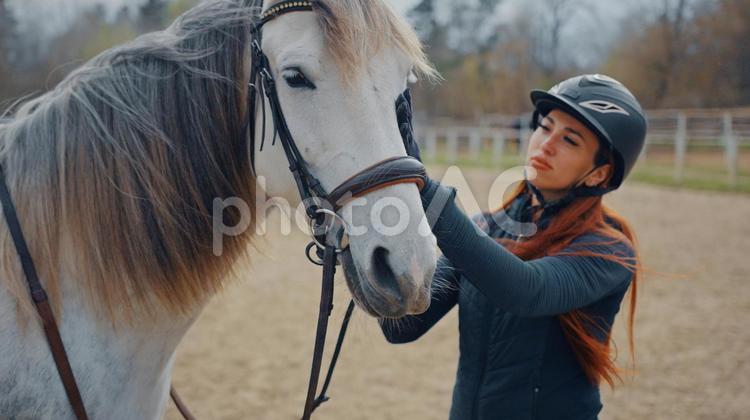 馬場で乗馬用の鞍を装着した馬をなでる 馬,馬の顔,上半身の写真素材