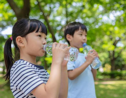 公園の木陰でひと休み 公園の木陰でひと休みの写真