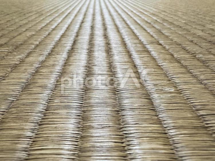 畳　和室 畳,たたみ,床の写真素材