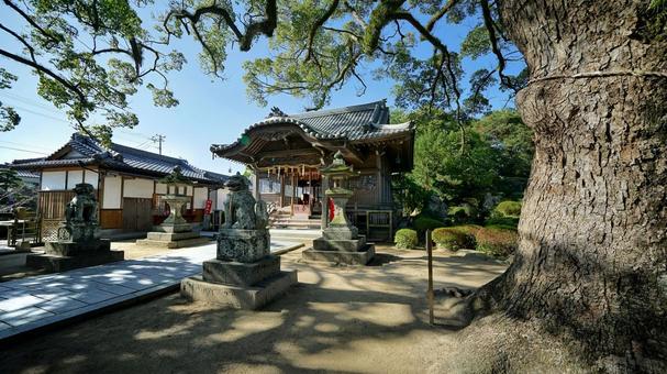 諏訪神社お参り 諏訪神社お参り 唐津,佐賀,諏訪神社の写真素材