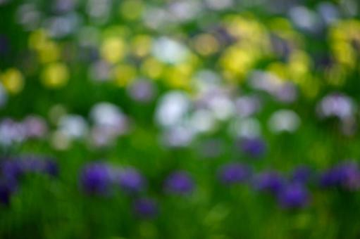 Blurred material, JPG