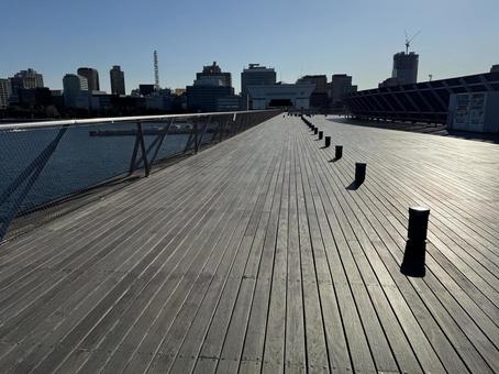 夕方の横浜大さん橋 夕方の横浜大さん橋 横浜,大さん橋,横浜大さん橋の写真素材