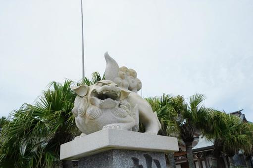 宮崎 青島神社の狛犬1 宮崎 青島神社の狛犬1 狛犬,石像,青島神社の写真素材