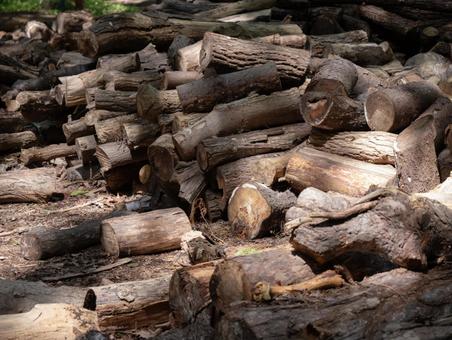 piled up trees, JPG