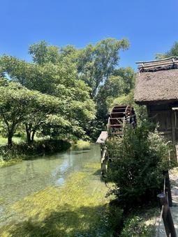 信州の原風景、水車と清流 信州の原風景、水車と清流 大王わさび農場,長野,安曇野の写真素材