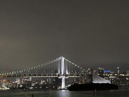 東京湾夜景 東京湾夜景の写真
