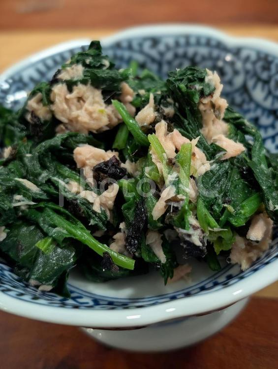 ほうれん草のおひたし ほうれん草,野菜,おひたしの写真素材