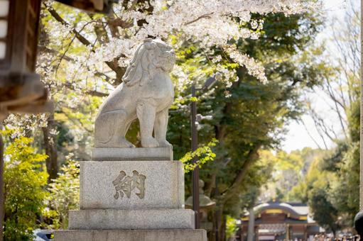 Guardian lion of the shrine, JPG