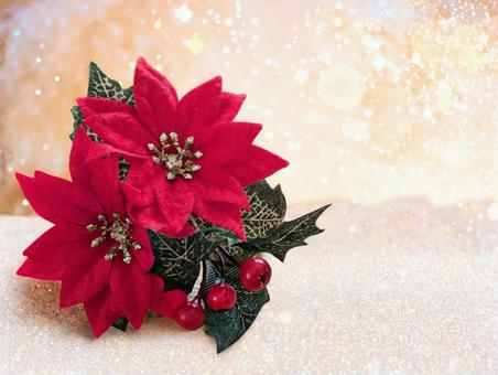 クリスマス（心温まるクリスマスを）1 クリスマス,ポインセチア,冬の写真素材