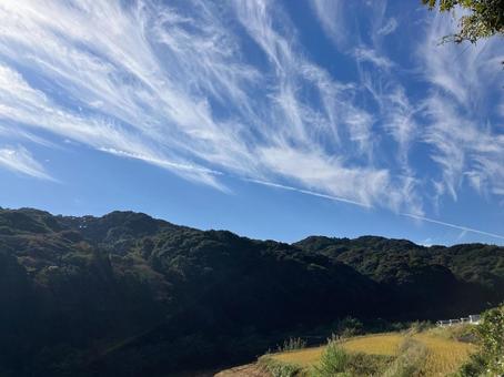 田舎の里山 田舎,雑草,自然の写真素材