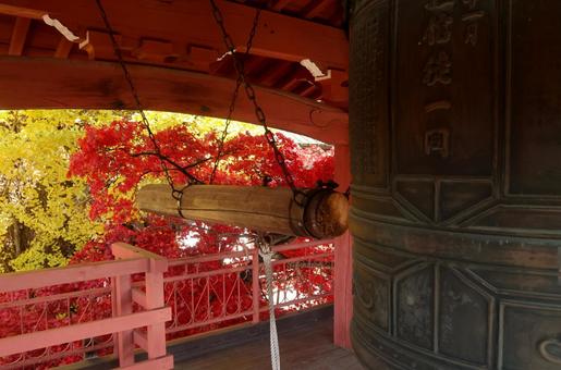 長円寺の紅葉 長円寺,茅野,赤の写真素材