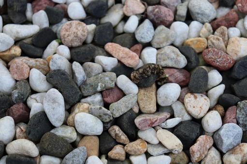 玉砂利 砂利,庭園,庭の写真素材