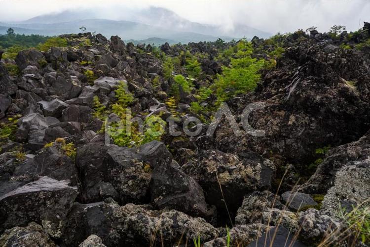 鬼押し出し園 背景,風景,岩の写真素材