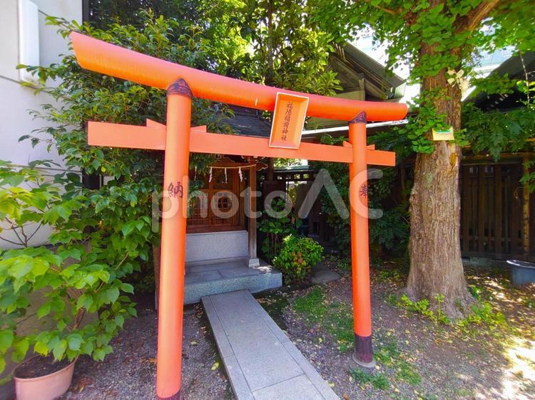 写真素材：東京都 福徳稲荷神社 福徳稲荷神社,鳥居,藏前神社の写真素材