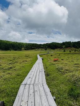 Photo, walking path, walk, scattered road, 