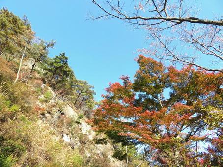 矢祭町矢祭山の紅葉の写真