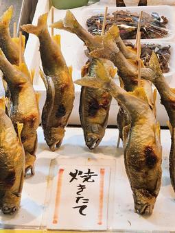 鮎の塩焼き 鮎の塩焼き 錦市場,商店街,アーケードの写真素材
