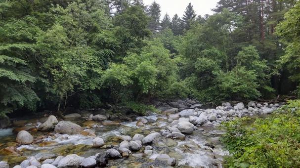 Photo, landscape, fresh green, natural, 