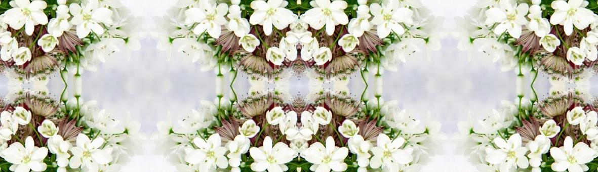 主に白の花柄イメージ素材の写真