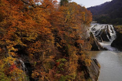 紅葉の滝の上公園 滝の上公園,夕張,紅葉の写真素材