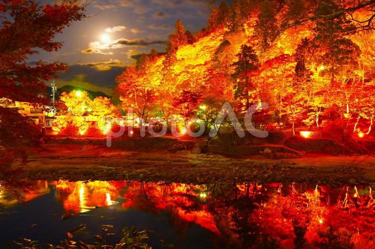 香嵐渓紅葉のライトアップと満月 香嵐渓,紅葉,ライトアップの写真素材