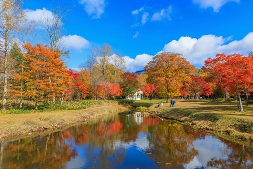 北海道の紅葉 北海道の紅葉 紅葉,秋,池の写真素材