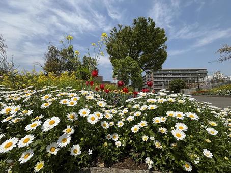 Spring Colors - Part 1, april, natural, landscape, JPG