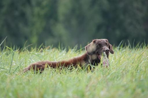 草原の中で 草原の中での写真