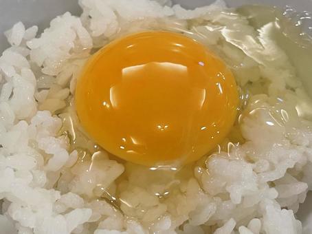 たまごかけごはん 卵かけご飯,生たまご,ごはんの写真素材