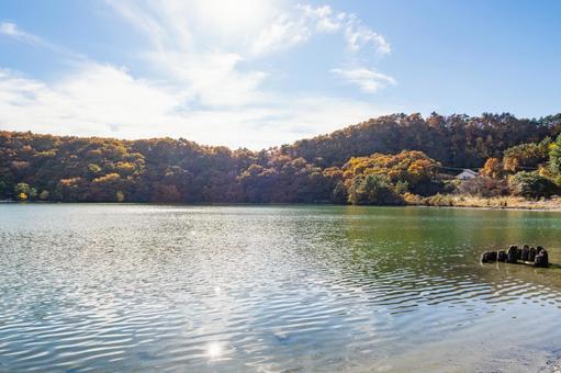 潟沼の秋⑶の写真