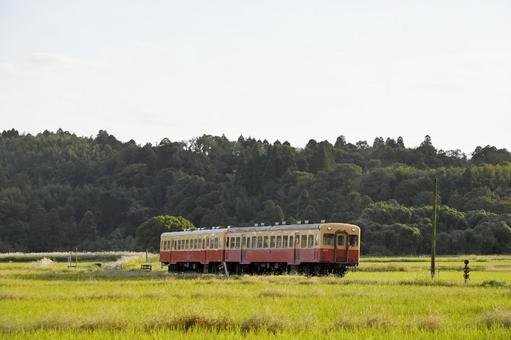 小湊鐵道 キハ200形 秋,のどか,自然の写真素材