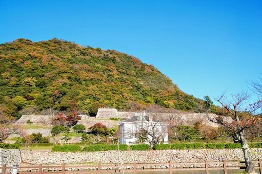 Photo, tottori burgruinen, steinmauer, historische seite, 