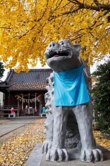 宮城野八幡神社と乳イチョウ⑷ 神社,宮城野八幡神社,神社仏閣の写真素材