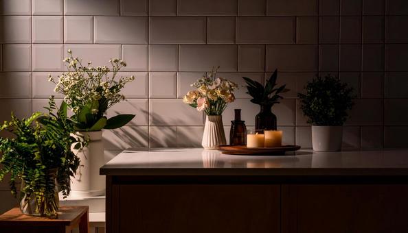 薄暗い部屋の花の写真