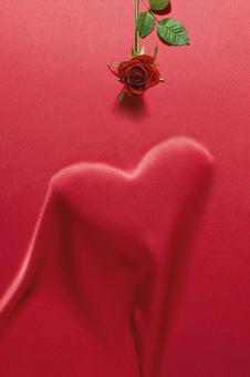 赤いバラの花とハート1 赤背景,一つ,茎の写真素材