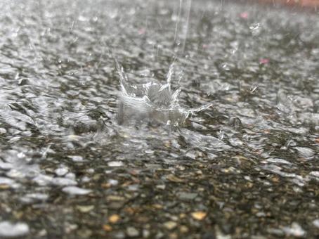大雨と水たまり 大雨と水たまり 大雨,梅雨,悪天候の写真素材