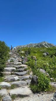 館山アルペンルート 館山アルペンルート 8月,夏,富山県の写真素材