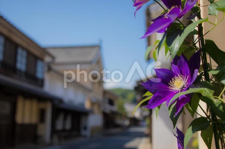 内子の町並みとクレマチスの花 クレマチス,センニンソウ,愛媛県の写真素材