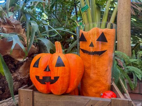 かぼちゃと…人参！？ 秋,ハロウィン,かぼちゃの写真素材