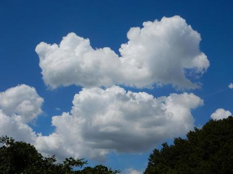 【風景写真】夏空 【風景写真】夏空の写真