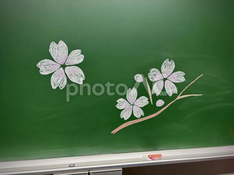 黒板に描いた桜の枝 04 桜,サクラ,花の写真素材