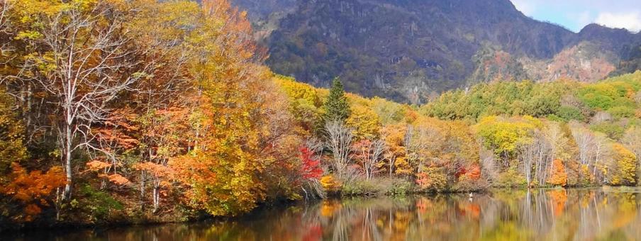 朝日を浴びる鏡池の紅葉 鏡池,紅葉,写り込みの写真素材