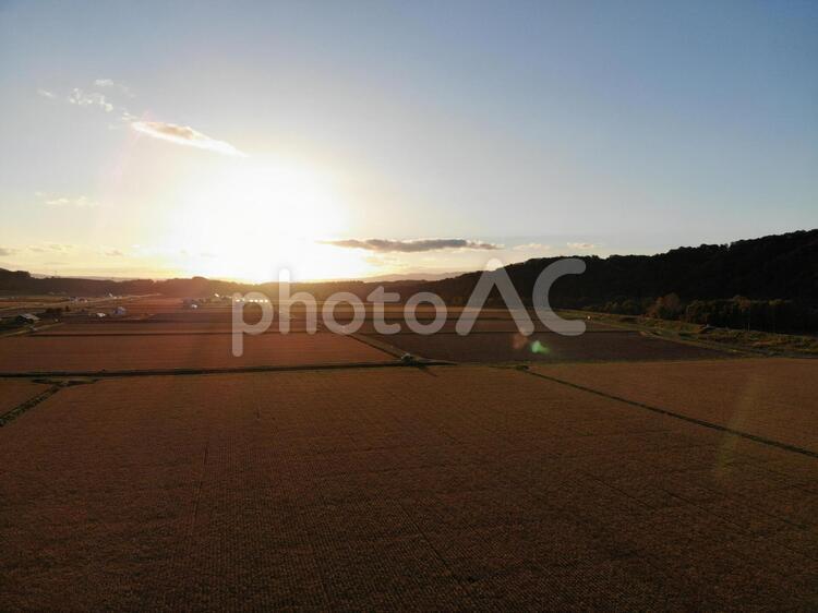 水田、稲穂、夕焼け、秋、空撮 水田,畑,稲穂の写真素材