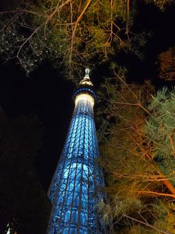 スカイツリー スカイツリーの写真