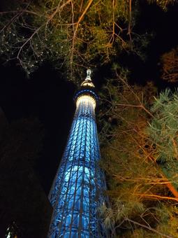 Photo, sky tree, night view, tower, 