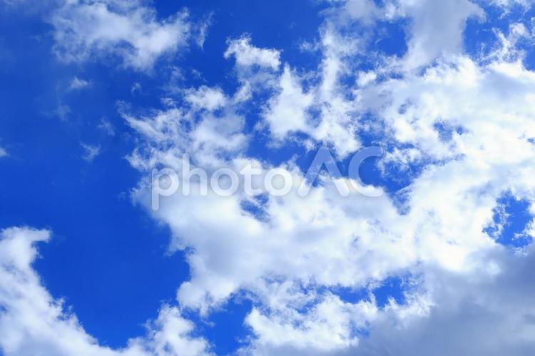 爽やかな冬の青空と雲 青空,空,晴天の写真素材