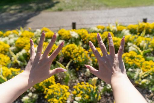 春の日差しとネイルの手元④ 手,ネイル,手元の写真素材