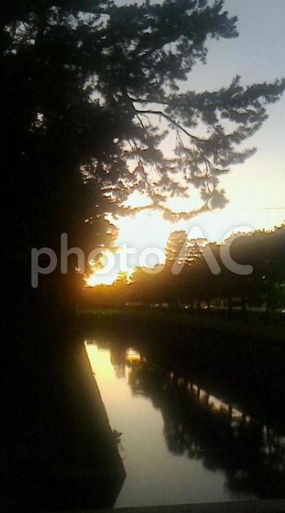 二条城夕暮れ 二条城,夕暮れ,光のコントラストの写真素材
